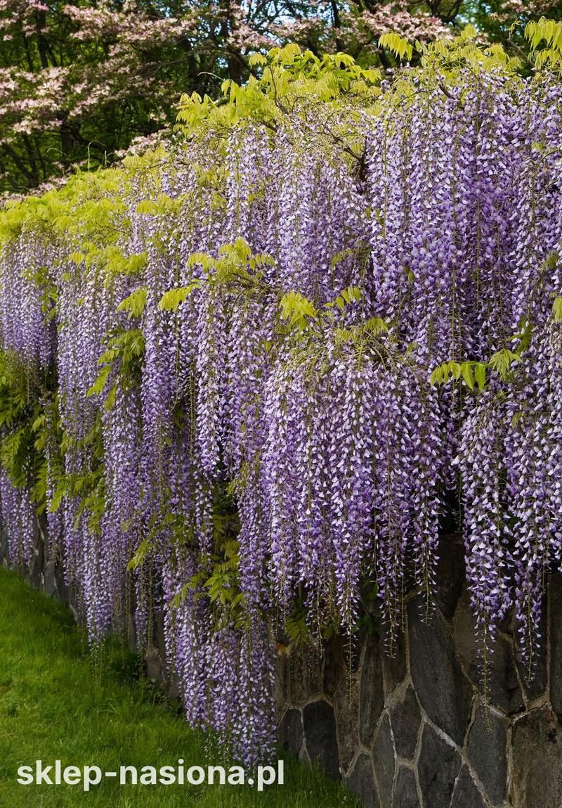 Zrównoważone nawożenie i ekologia