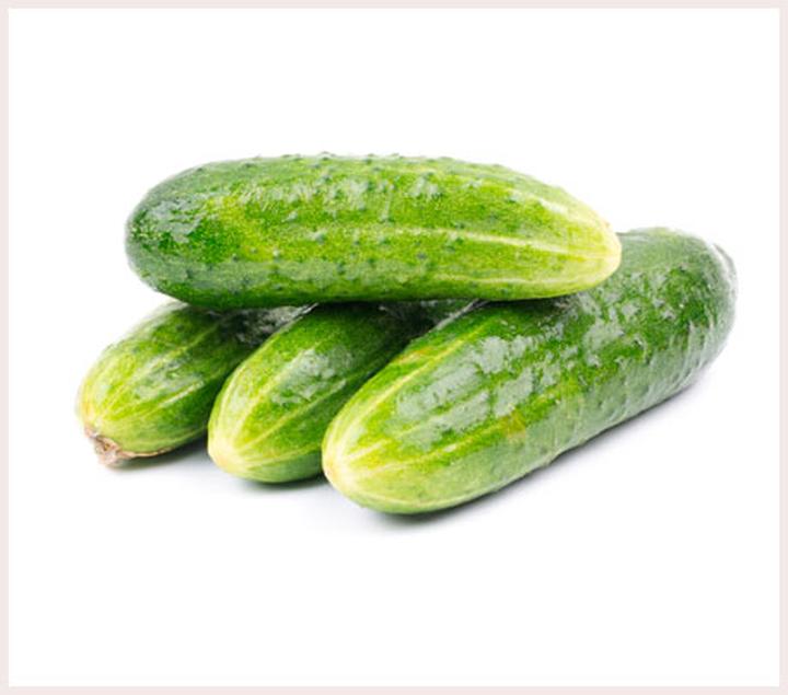 Najlepszy czas na siew ogórków – odkryj kalendarz wysiewu dla idealnych plonów