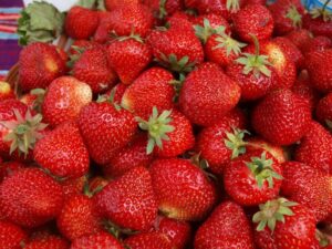 Odkryj najlepsze pomysły na uprawę truskawek w swoim ogrodzie