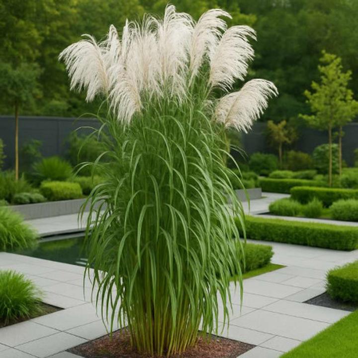 Terminy sadzenia wiosna jesień