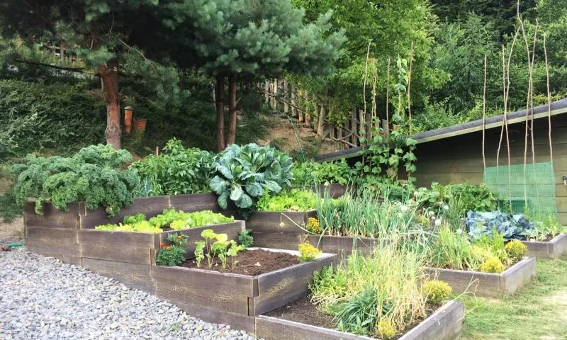 Zagospodarowanie skarpy przy tarasie