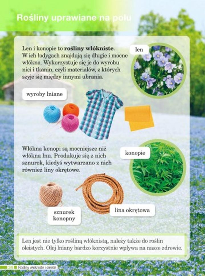 Gatunki roślin włóknistych