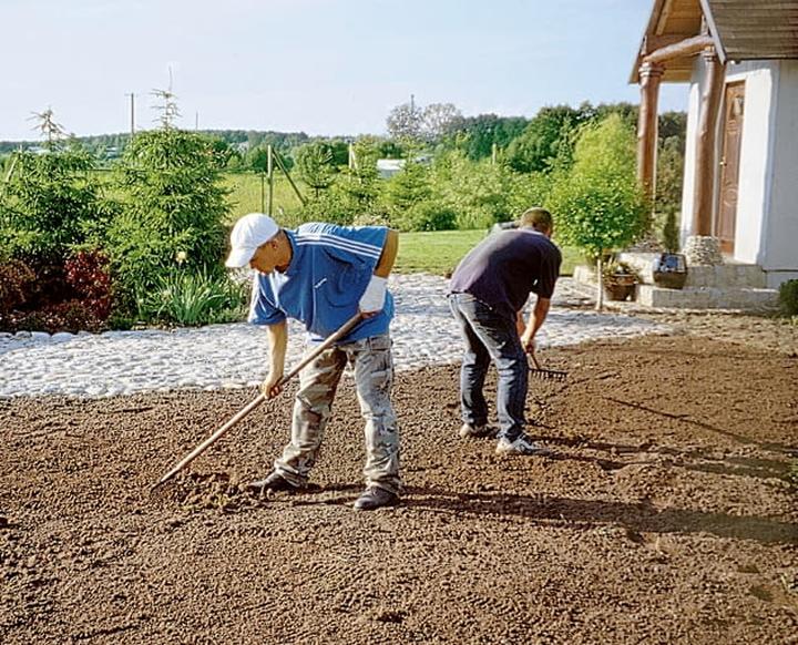 Kiedy siać trawę na wiosnę? Oto najlepsze miesiące na zadbany trawnika