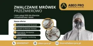 Skuteczne sposoby na likwidację mrówek w kuchni