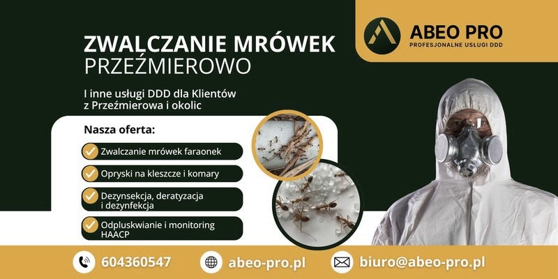 Skuteczne sposoby na likwidację mrówek w kuchni
