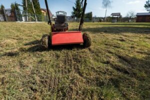 Jak głęboko przeprowadzić wertykulację trawnika, aby osiągnąć najlepsze efekty?