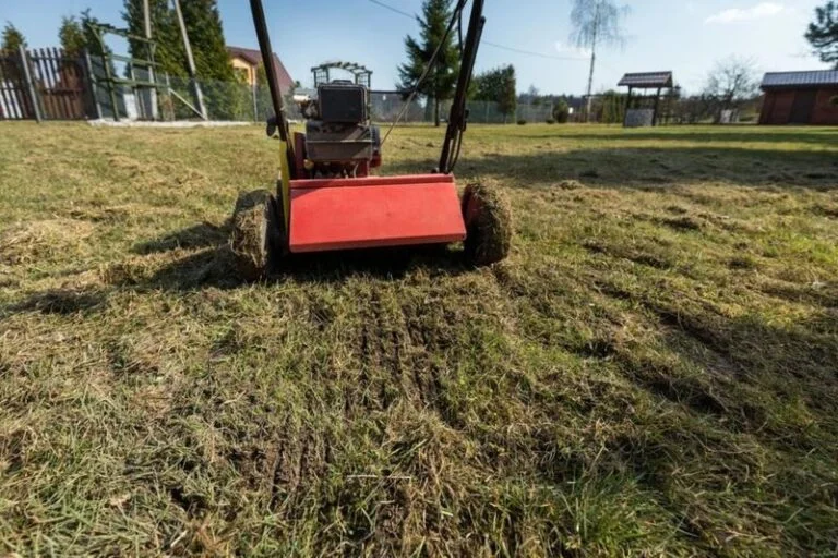 Jak głęboko przeprowadzić wertykulację trawnika, aby osiągnąć najlepsze efekty?