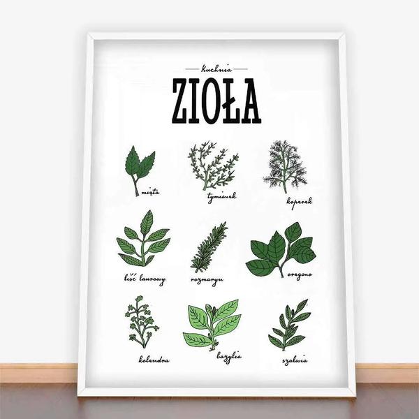 Zioła świeże i suszone