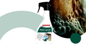 Jak pozbyć się pleśni z sufitu łazienki — szybko i trwale