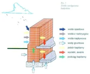 Jak usunąć białe wykwity z kostki brukowej? Skuteczne sposoby bez uszkodzeń