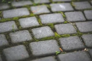 Jak usunąć glony z kostki brukowej? Skuteczne metody i ochrona przed nawrotem