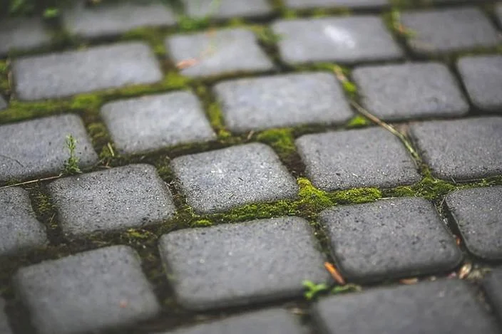 Jak usunąć glony z kostki brukowej? Skuteczne metody i ochrona przed nawrotem