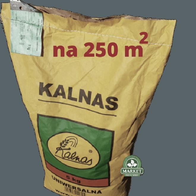 Ilość nasion trawy na m²