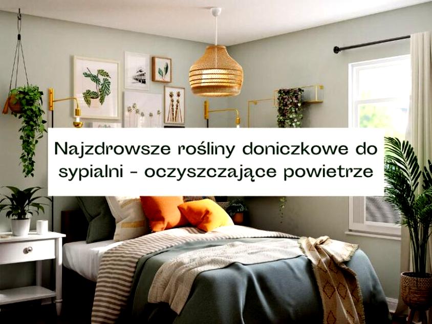 Łatwe w pielęgnacji rośliny domowe