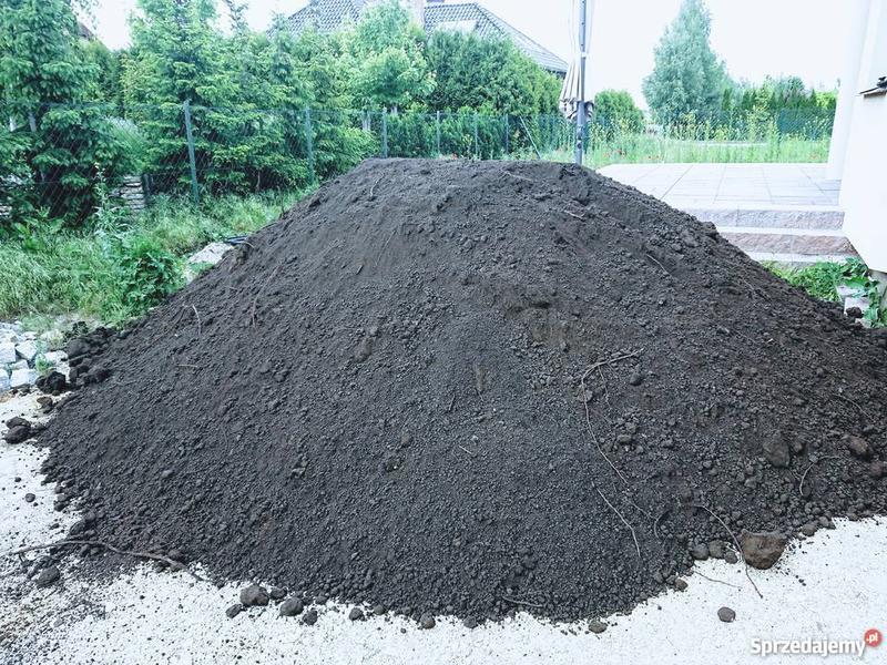 Zakładanie trawnika
