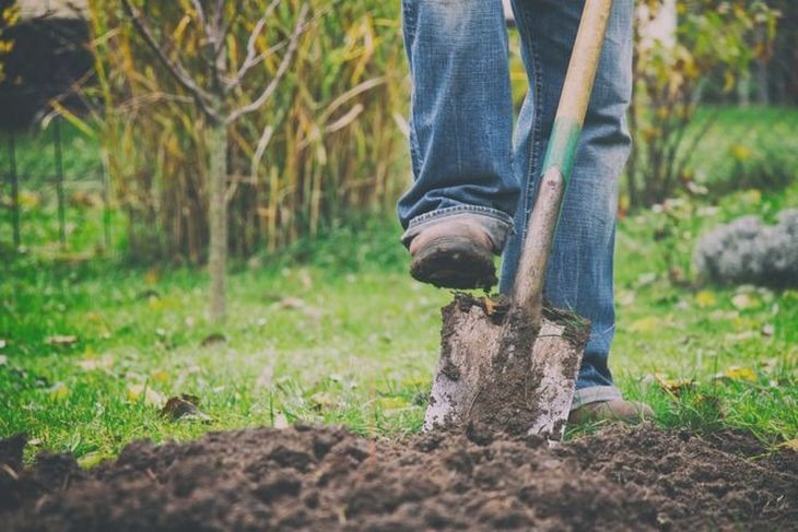 Czym przekopać ziemię pod trawnik? Narzędzia i praktyczne wskazówki