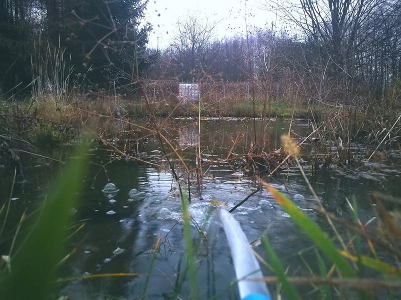 Napowietrzanie oczka wodnego – skuteczne sposoby na czystą i zdrową wodę